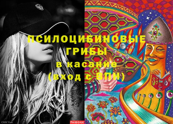 крисы Горнозаводск
