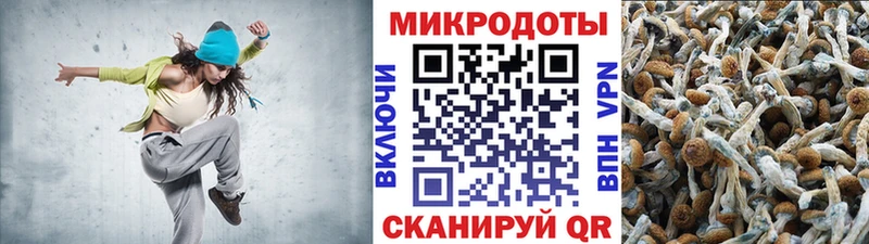 Псилоцибиновые грибы прущие грибы  даркнет официальный сайт  Одинцово 